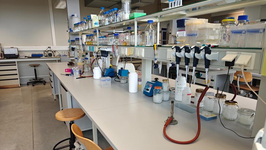 Bioplastiques bon marché à partir de microorganismes, d’eau de mer et de déchets